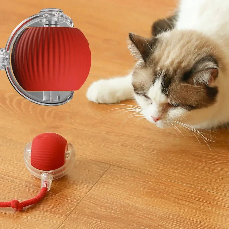 Cat Toy Ball Self Hi Ball Teasing Cat Rolling Ball Hair Pet Relieve Boredom Plush Teasing Cat Ball Cat Toys Pet