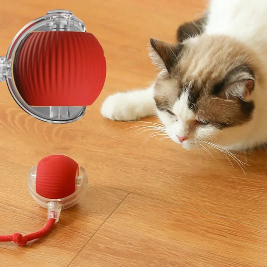 Cat Toy Ball Self Hi Ball Teasing Cat Rolling Ball Hair Pet Relieve Boredom Plush Teasing Cat Ball Cat Toys Pet